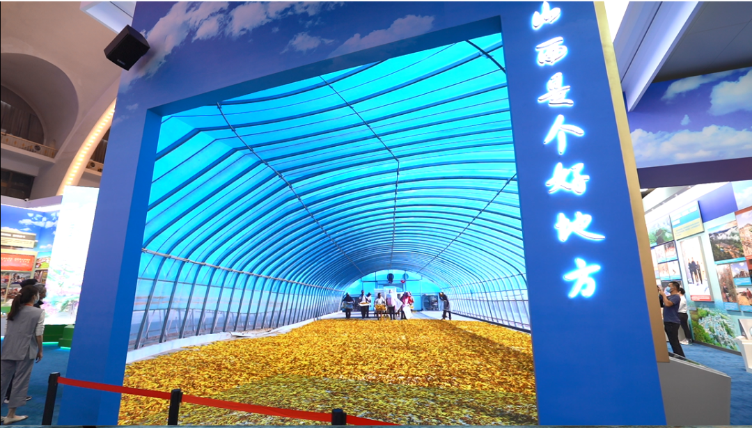 德晋贵宾厅(中国区)官方网站