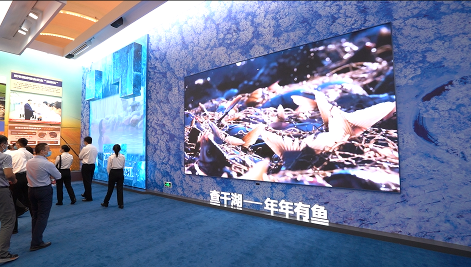 德晋贵宾厅(中国区)官方网站